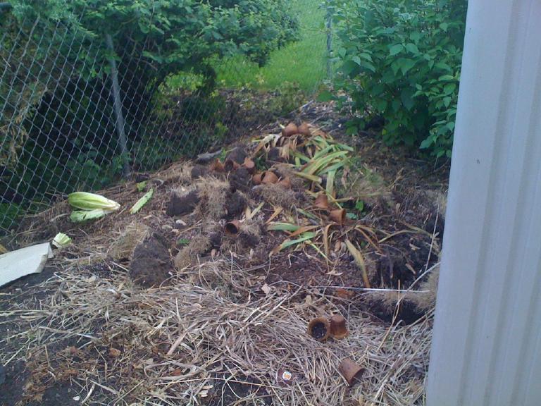 Tas de compost de jardin avec matières brunes et déchets végétaux en décomposition