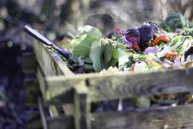 Déchets végétaux en compostage pour nourrir naturellement le potager