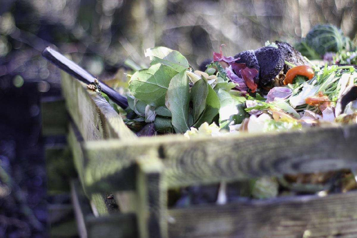 Déchets végétaux en compostage pour nourrir naturellement le potager