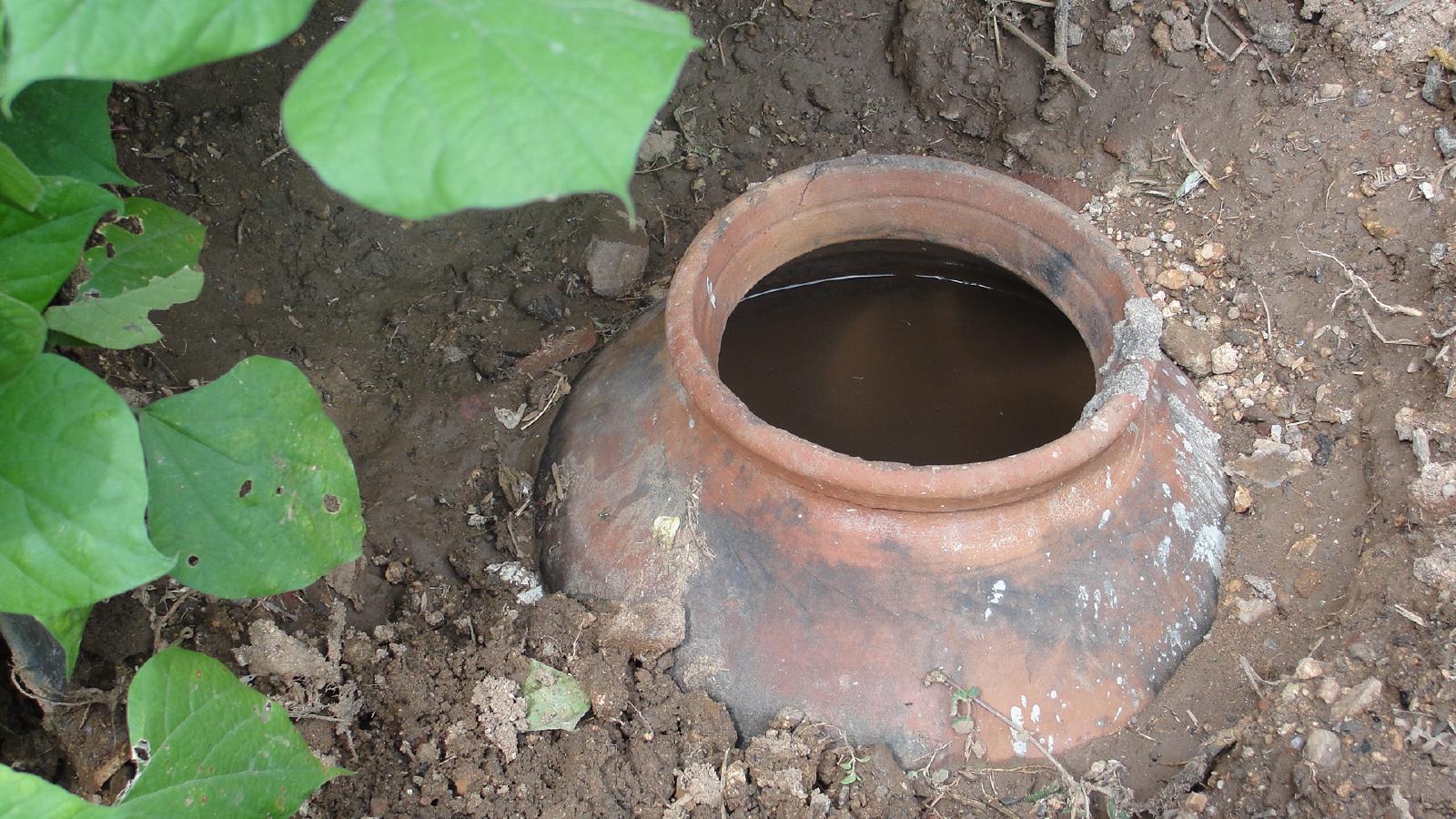 Oya en terre cuite enterrée dans une planche de potager