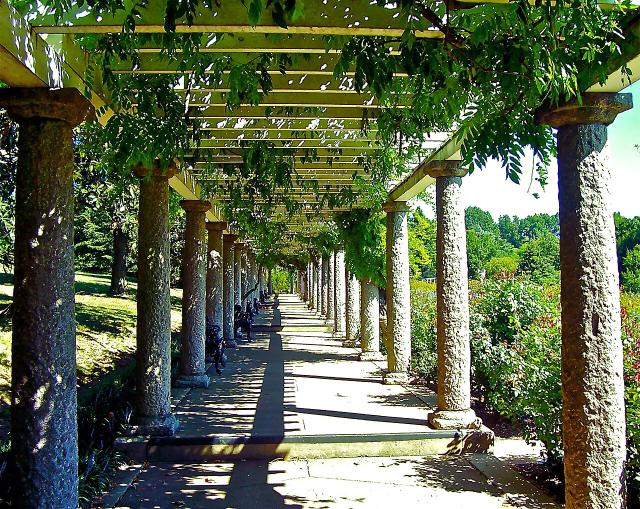 Pergola couverte de plantes grimpantes dans un jardin ensoleillé