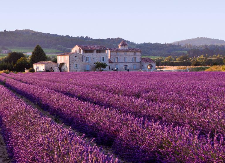 Massif ensoleillé de plantes méditerranéennes sobres en eau
