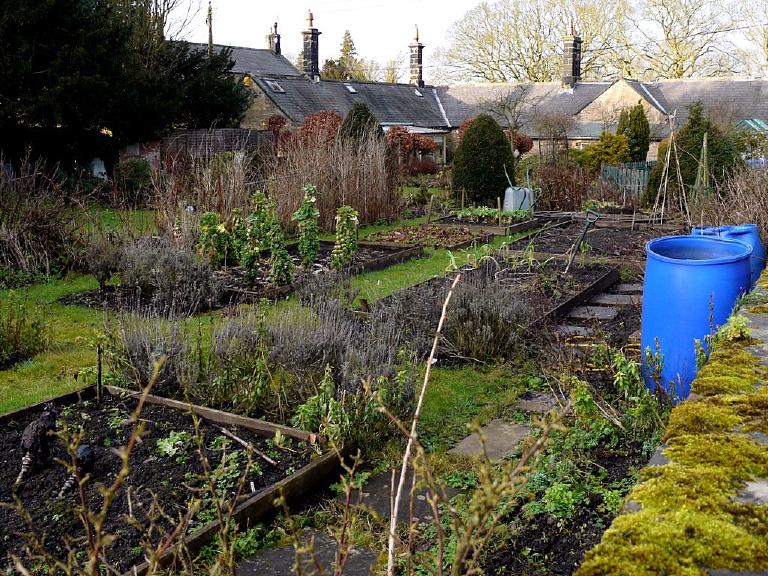 Potager en hiver avec planches de culture et légumes rustiques