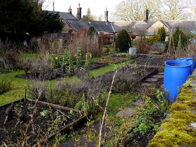 Potager en hiver avec planches de culture et légumes rustiques