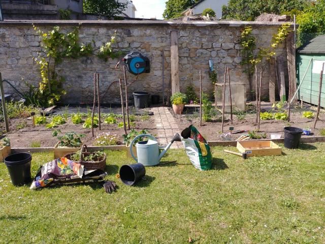 Jeune potager en carrés avec légumes fraîchement plantés