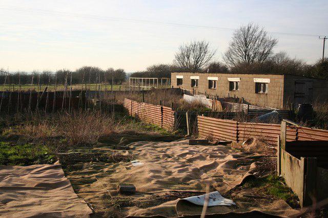 Rangs d'un potager en hiver avec parcelles prêtes pour les plantations de janvier