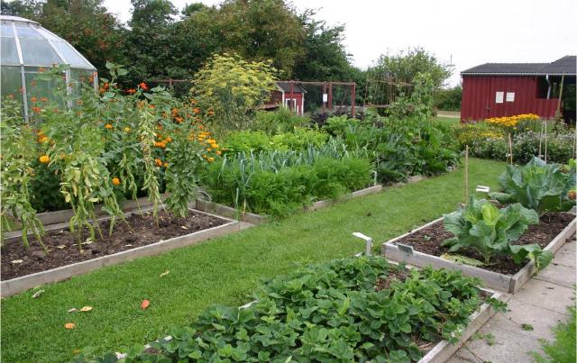 Potager en planches avec cultures différentes organisées par zones