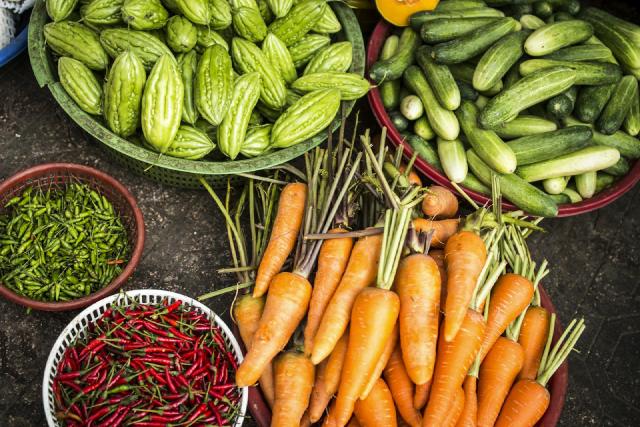 Jeunes plants de légumes et sachets de graines sur une table de rempotage