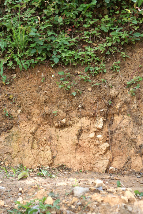 Terre argileuse brune au jardin prête à être améliorée