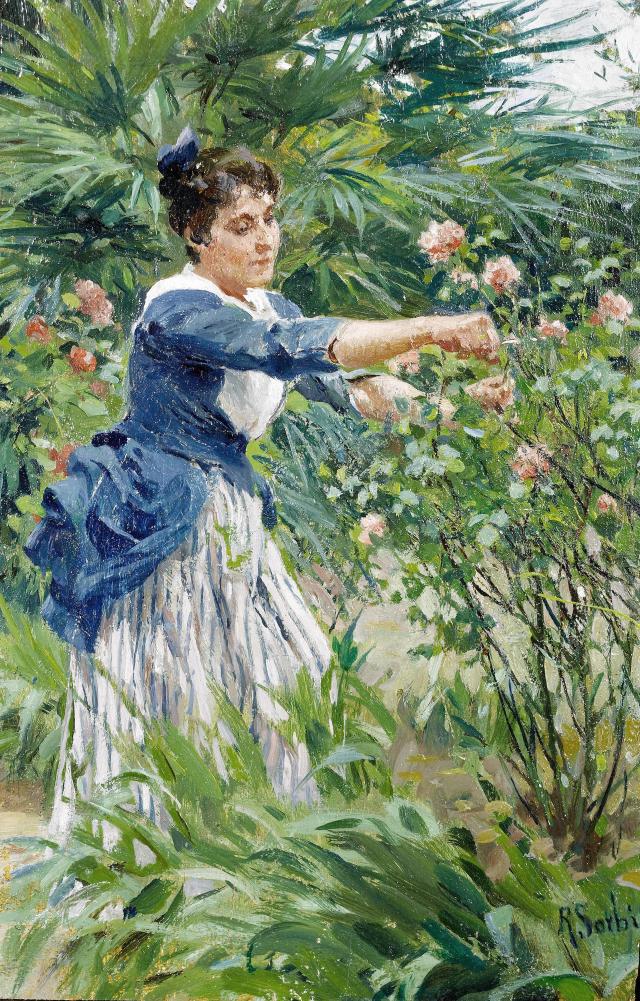 Taille de rosiers au sécateur dans un jardin