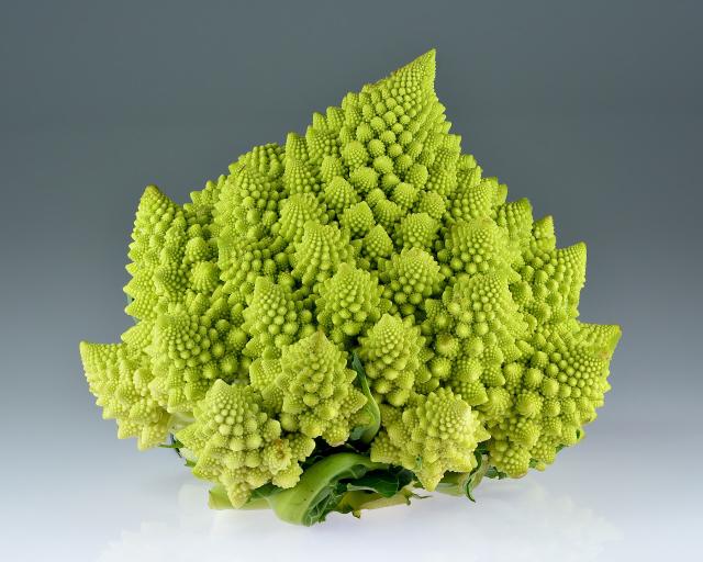 Chou romanesco (Brassica oleracea var. botrytis) : semis, culture et récolte