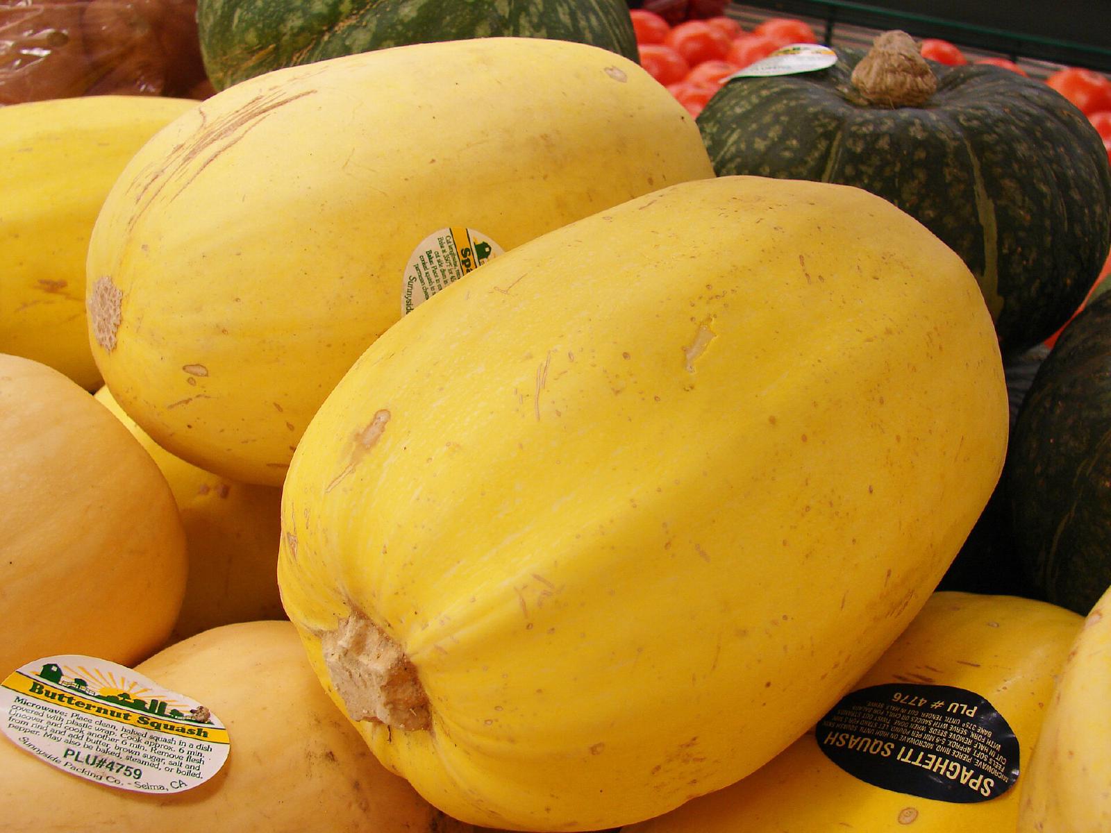 Courge spaghetti