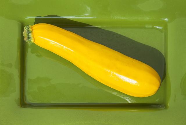 Courgette (Cucurbita pepo) : semis, plantation et culture
