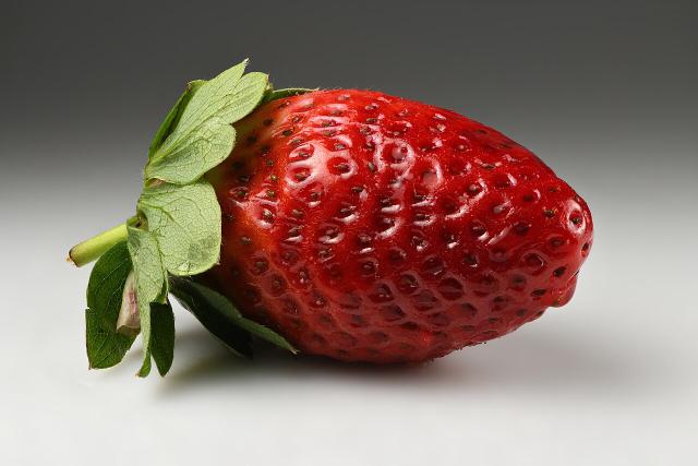Fraisier (Fragaria × ananassa) : plantation, entretien et récolte