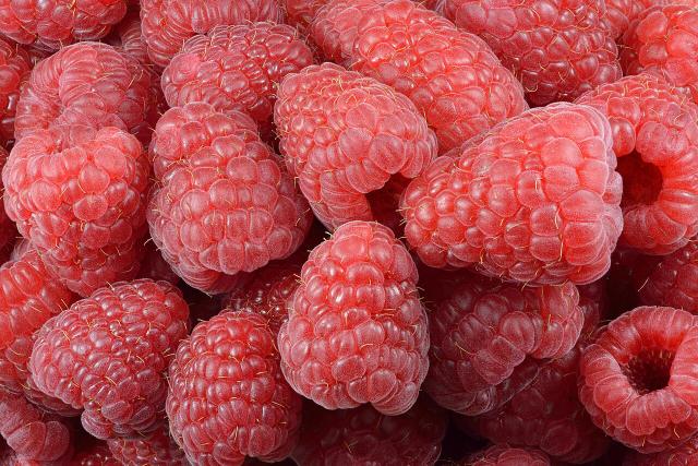 Framboisier (Rubus idaeus) : plantation, taille et entretien