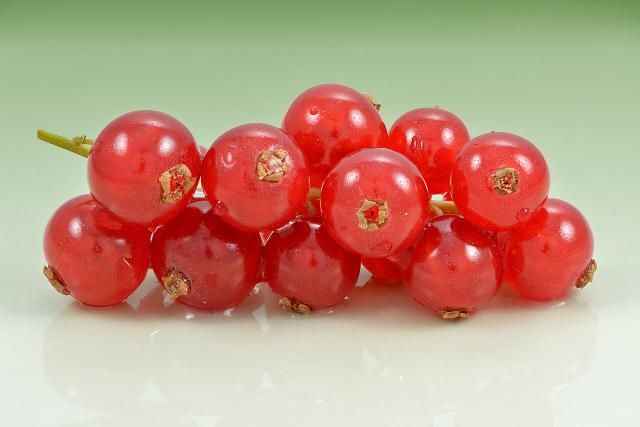 Groseillier (Ribes rubrum) : plantation, taille et entretien
