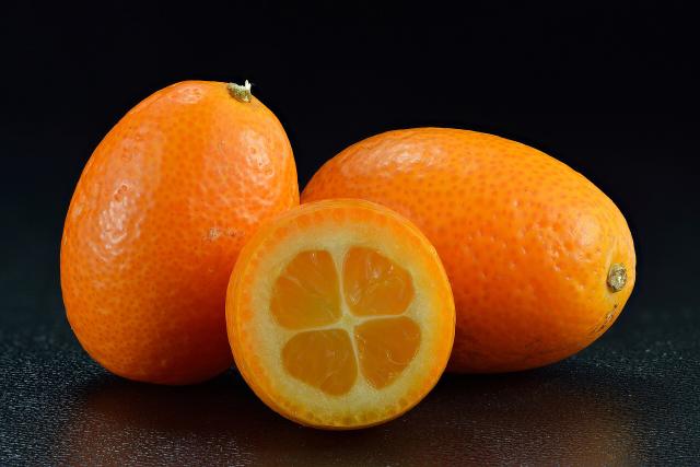 Kumquat (Citrus japonica) : plantation, culture en pot et entretien
