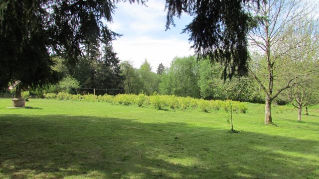 Myrtillier (Vaccinium corymbosum) : plantation, sol acide et entretien