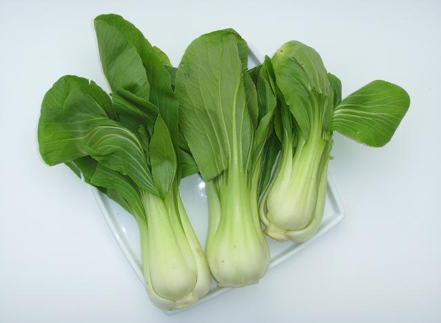 Pak-choï (Brassica rapa subsp. chinensis) : semis, culture et récolte