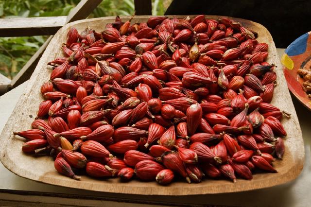 Maniguette : culture du poivre de Guinée